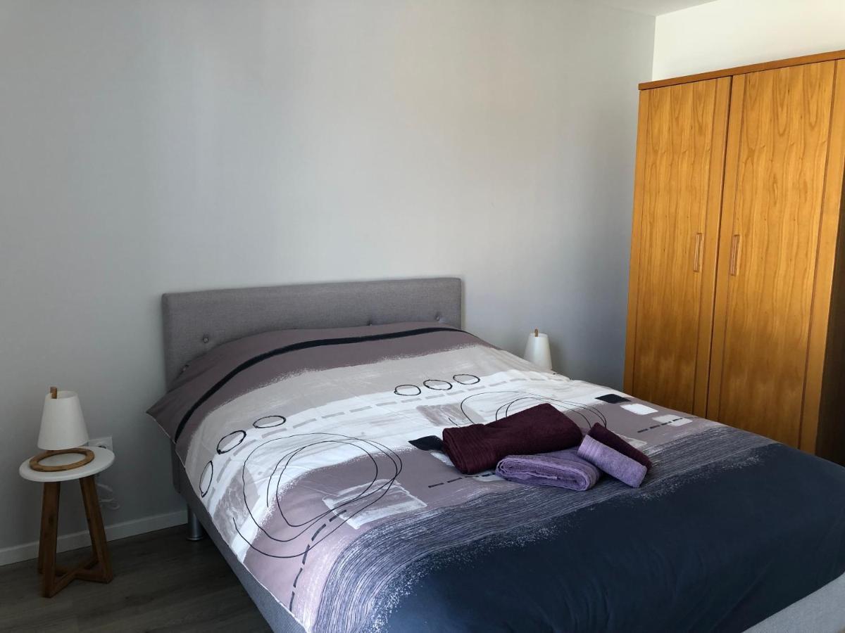 Appartement Magniolia Proche Centre Ville Colmar Eksteriør billede